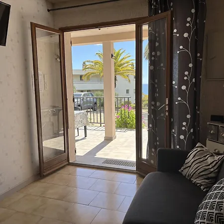 Cardellini 4 サリ・ソランザラ