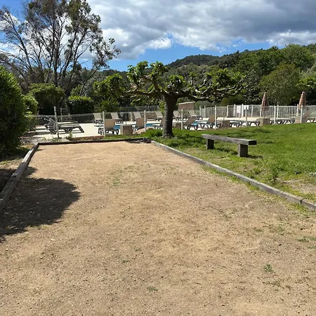 Cardellini 4 * サリ・ソランザラ