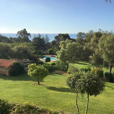 Cardellini 4 サリ・ソランザラ