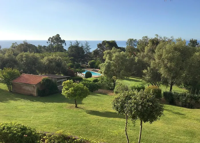 Cardellini 4 Sari-Solenzara